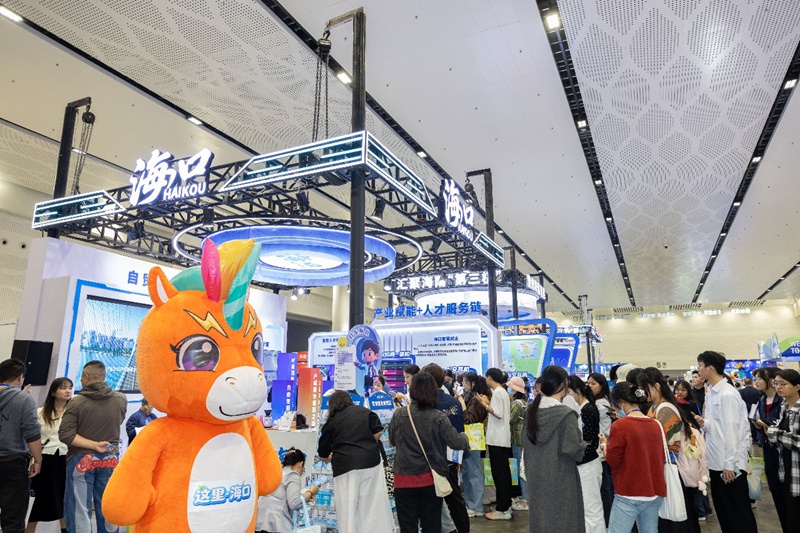 第二届中国(海南)人才交流大会海口专区。主办方供图