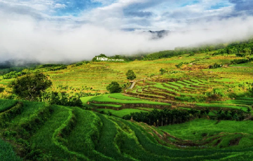 /Users/nst27/Library/Containers/com.kingsoft.wpsoffice.mac/Data/tmp/picturecompress_20251208193933/output_8.pngoutput_8