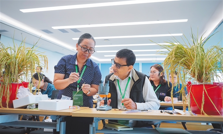 中外种质资源专家在三亚学习AI新技术