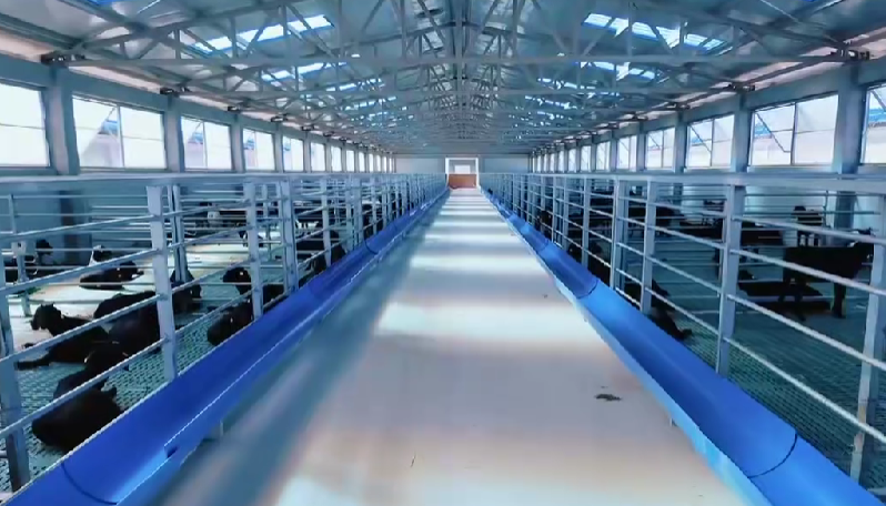 昌江：小乳羊带出大产业