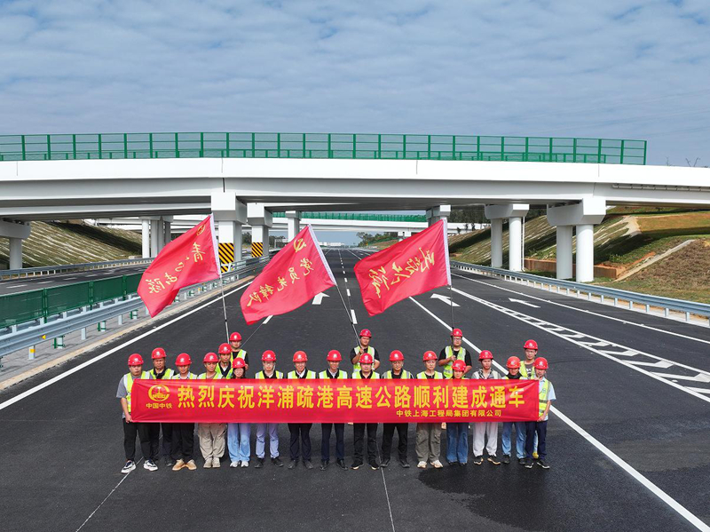 建设者庆祝洋浦疏港高速公路顺利通车。陆进炳摄