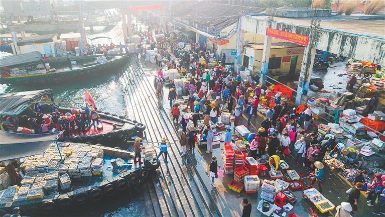 儋州：节前捕捞忙 码头渔市旺