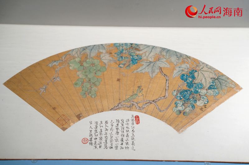 马荃葡萄螳螂扇面。人民网记者 符武平摄