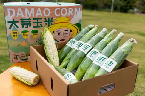 2026-02-11 22:09:00.403000