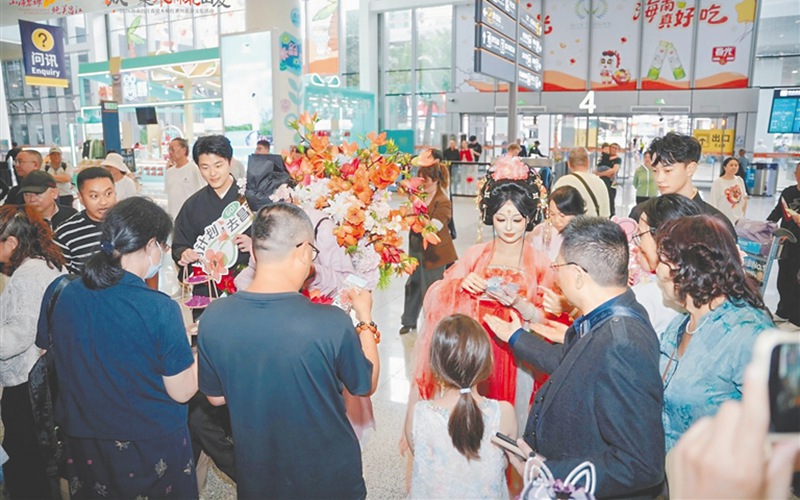 昌江木棉派送一抹春色