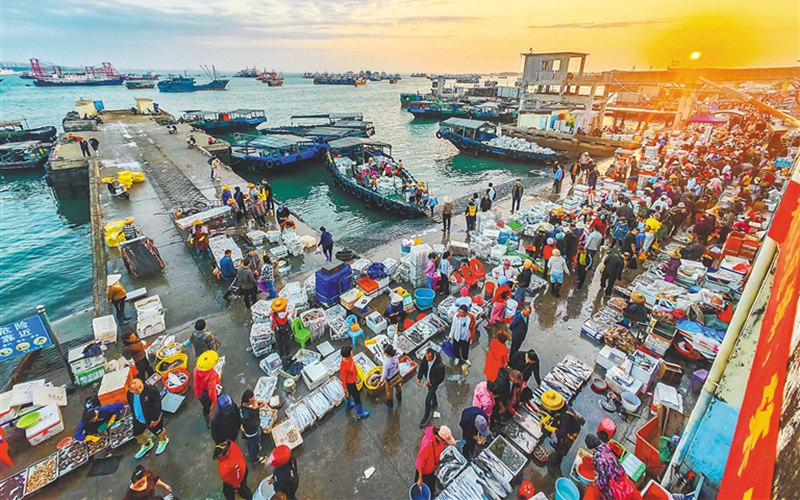 儋州白马井：鱼市红火 海货飘香