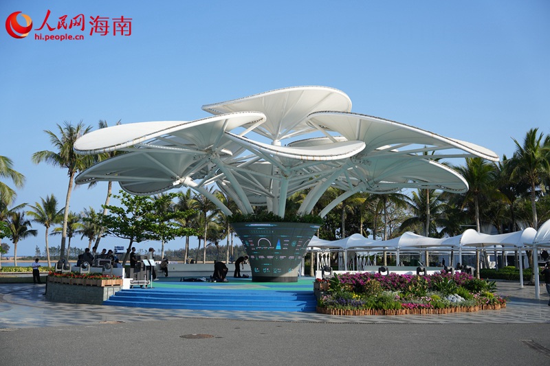 当“绿色”遇见“科技”——沉浸式探访零碳岛上的智慧场景