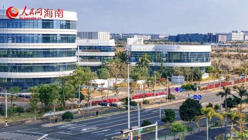 海口国家高新区美安生态科技新城。人民网记者 牛良玉摄