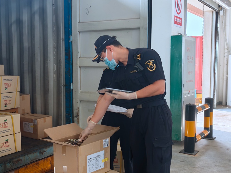 3月28日,海口海关所属洋浦海关关员对第六届中国国际消费品博览会首批货物进行验放。曹琳佩摄
