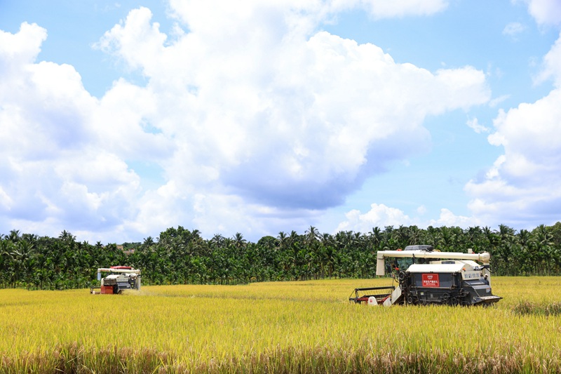 科技赋能智慧农业。海南五田家农业科技有限公司供图
