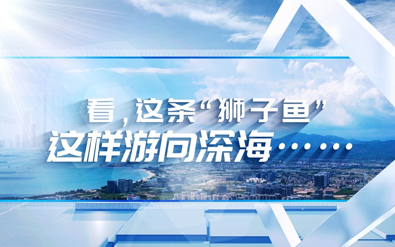 海之南丨看，这条“狮子鱼”这样游向深海……