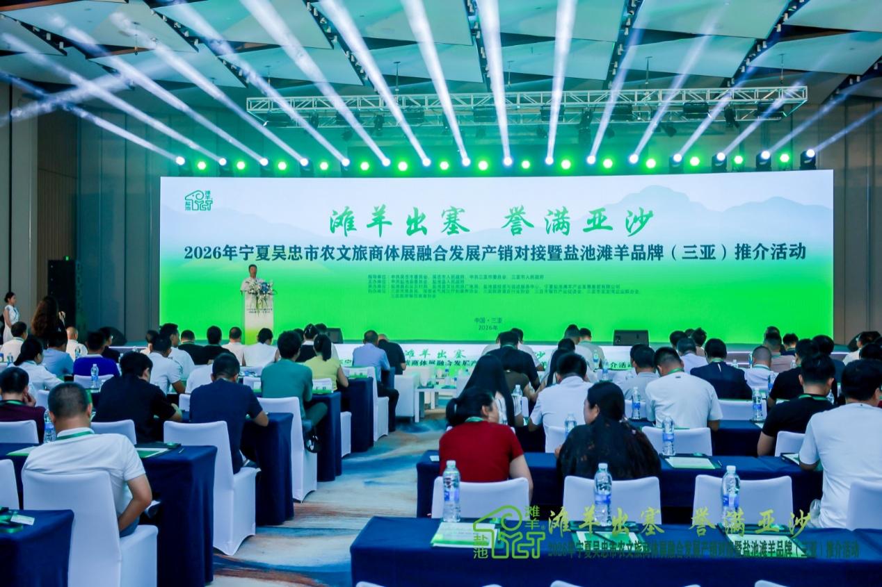 活动现场。主办方供图