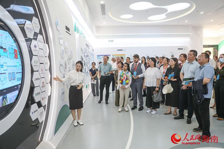 在海口药谷规划馆，考察团成员了解园区生命健康产业发展情况。人民网记者 牛良玉摄