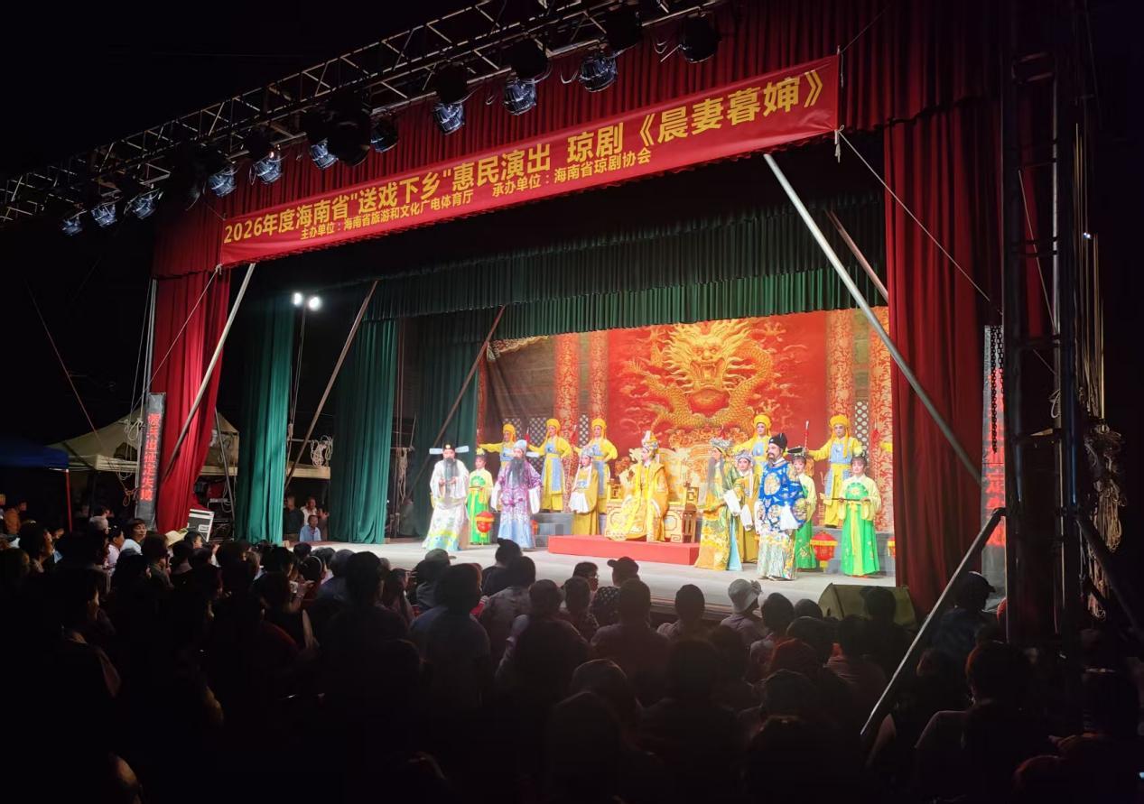 惠民演出现场。海南省旅文厅供图