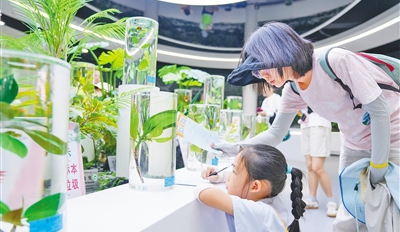 对话自然在东寨港上堂“生态课”