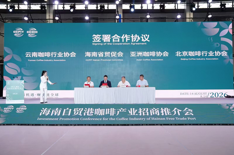 活动现场。主办方供图