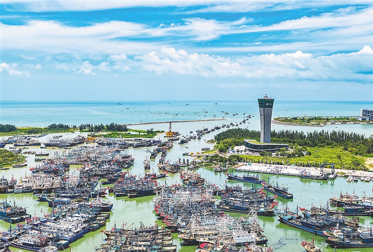 出海喽，赴万顷蓝海追鲜