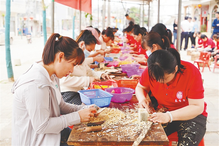 工人使用钩形工具采香。本组图片由澄迈县加乐镇政府提供