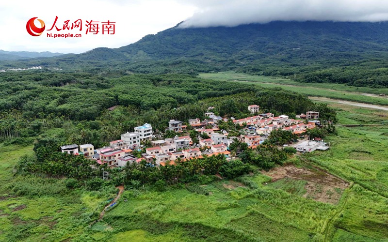 “四无”村庄逆袭记