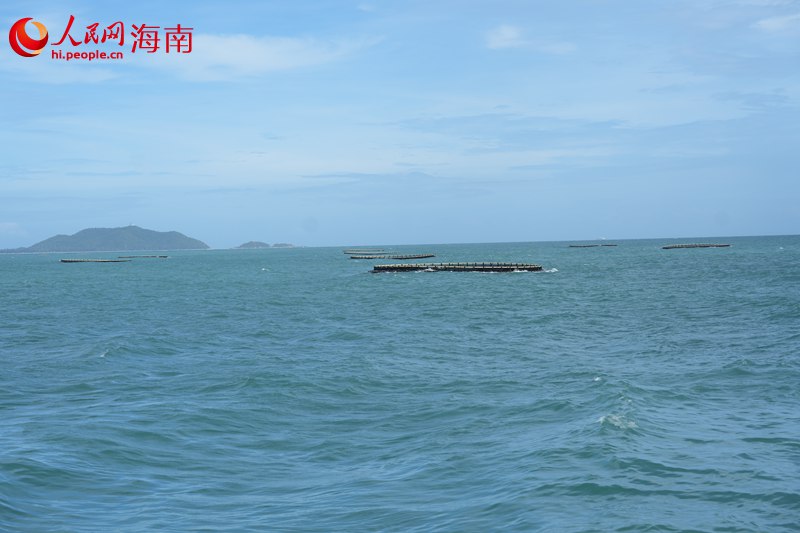 深水抗风浪网箱整齐排列。 人民网记者 孟凡盛摄