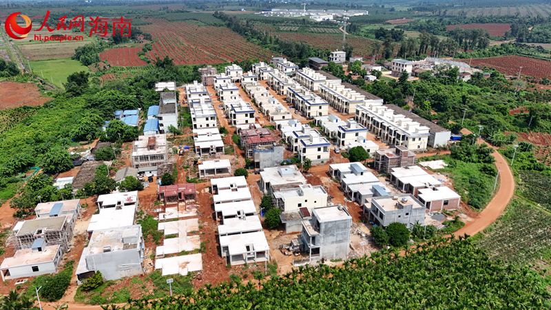 航拍海南农垦西达农场南油队。 人民网记者 符武平摄