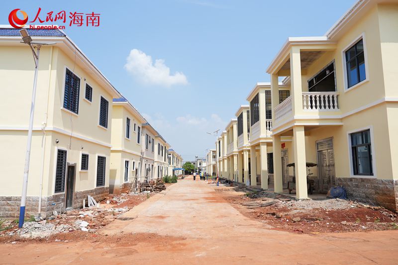 海南农垦西达农场南油队,崭新的独栋民居错落有致。 人民网记者 孟凡盛摄