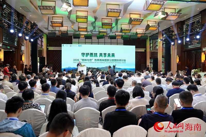 2026年“雨林与您”热带雨林国家公园国际研讨会现场。人民网记者 符武平摄